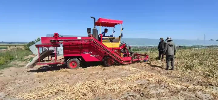 Double Rows Mini Tractor Mounted Onion Cassava Sweet Potato Murphy Carrot Ginger Harvester