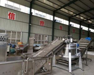 میوه و سبزیجات کم آبی تجهیزات