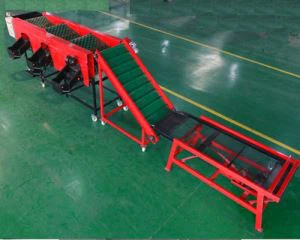 دستگاه مرتب سازی پیاز متوسط