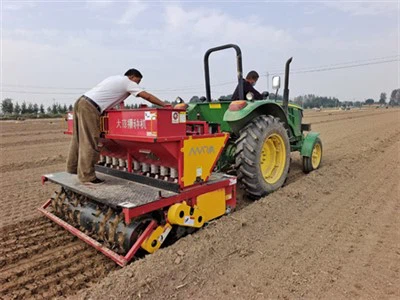 کاشت سیر بزرگ